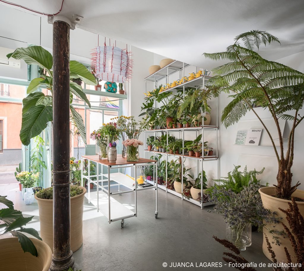 Tienda de plantas Orangerie en Sevilla realizada por 14.30studio